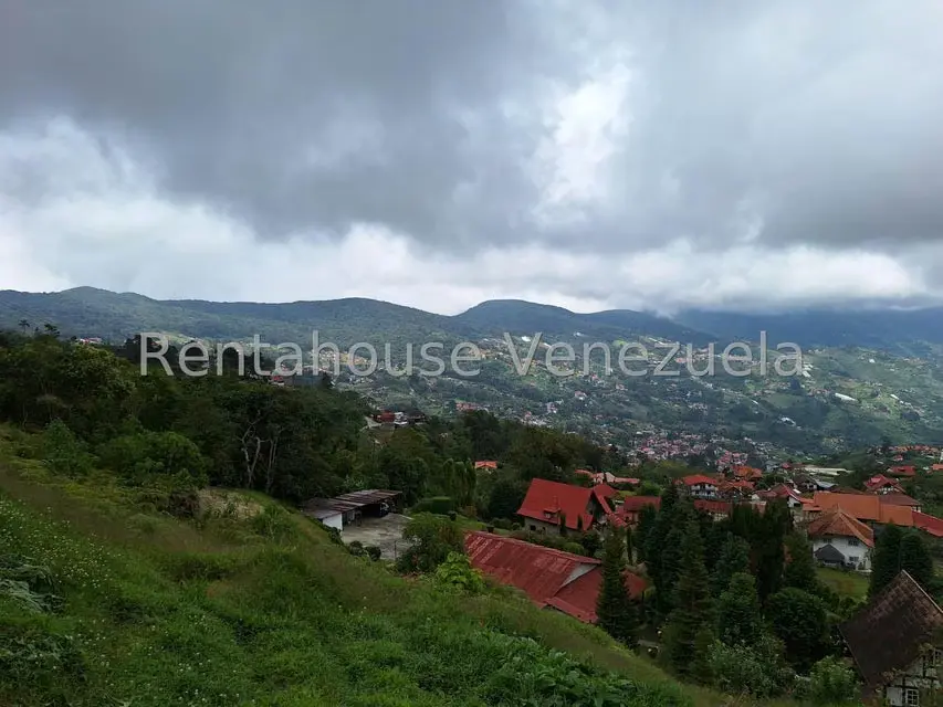 Terreno (Comercial) en Venta en La Colonia Tovar, Aragua - 16