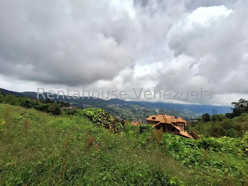 Terreno (Comercial) en Venta en La Colonia Tovar, Aragua - 17
