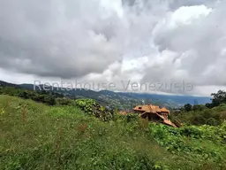 Vista 17