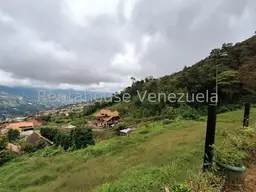 Vista 18