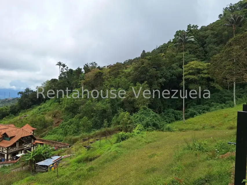 Terreno (Comercial) en Venta en La Colonia Tovar, Aragua - 19