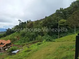 Vista 19