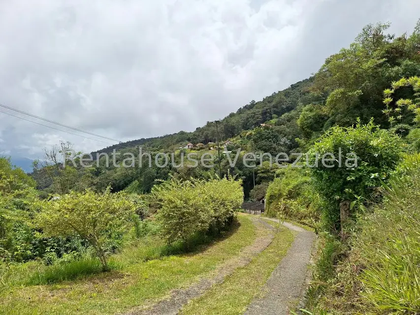 Terreno (Comercial) en Venta en La Colonia Tovar, Aragua - 2