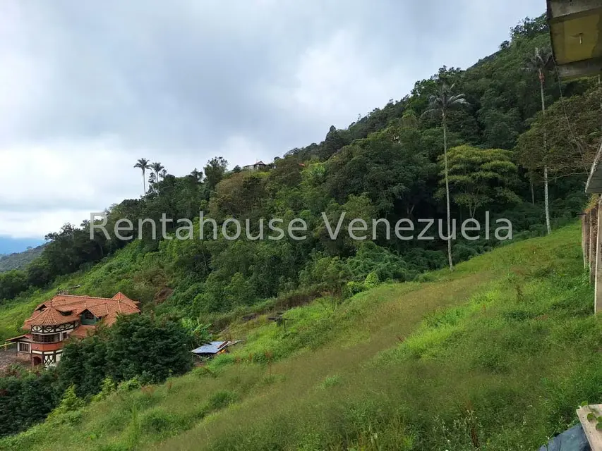 Terreno (Comercial) en Venta en La Colonia Tovar, Aragua - 22