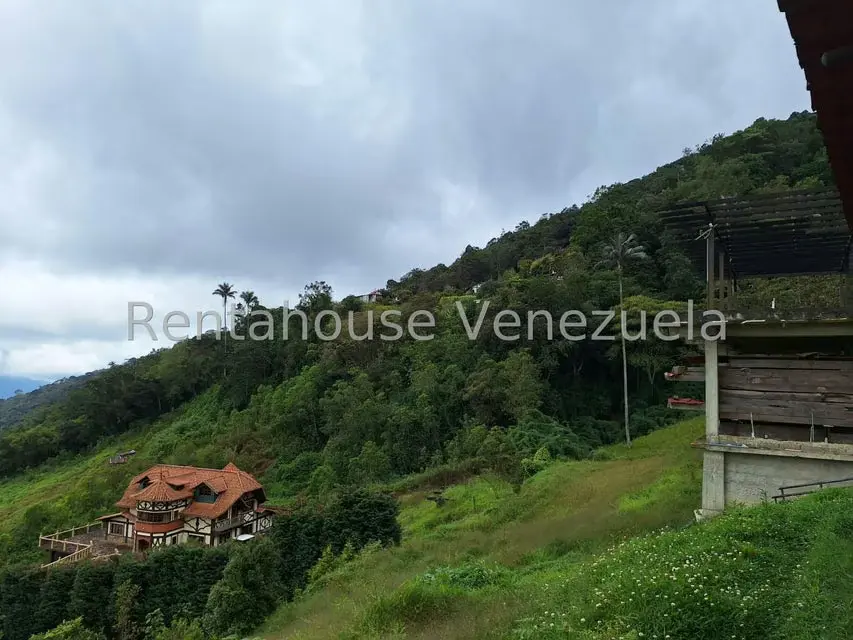 Terreno (Comercial) en Venta en La Colonia Tovar, Aragua - 23
