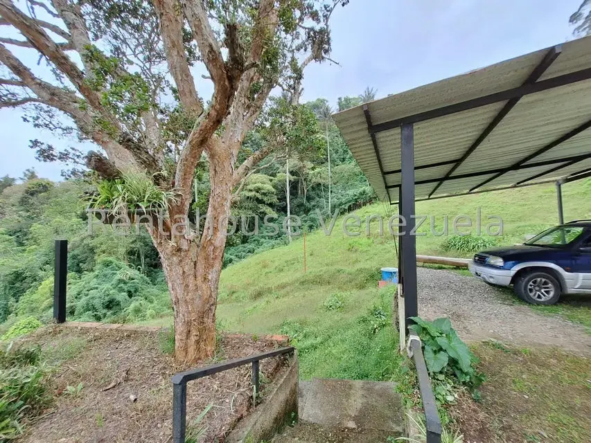 Terreno (Comercial) en Venta en La Colonia Tovar, Aragua - 25