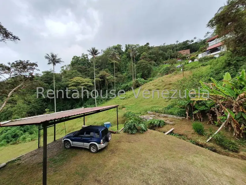Terreno (Comercial) en Venta en La Colonia Tovar, Aragua - 28