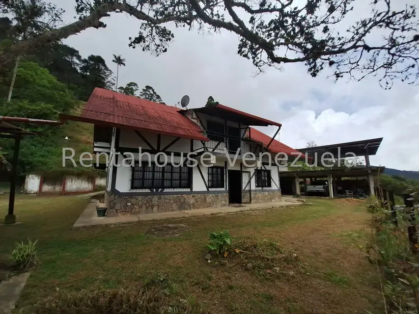 Terreno (Comercial) en Venta en La Colonia Tovar, Aragua - 31