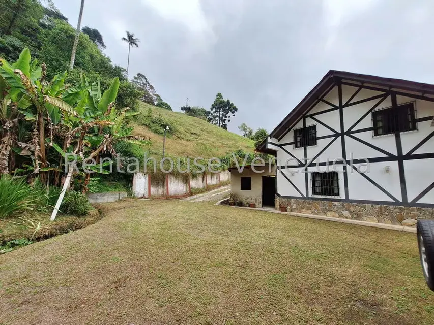 Terreno (Comercial) en Venta en La Colonia Tovar, Aragua - 40