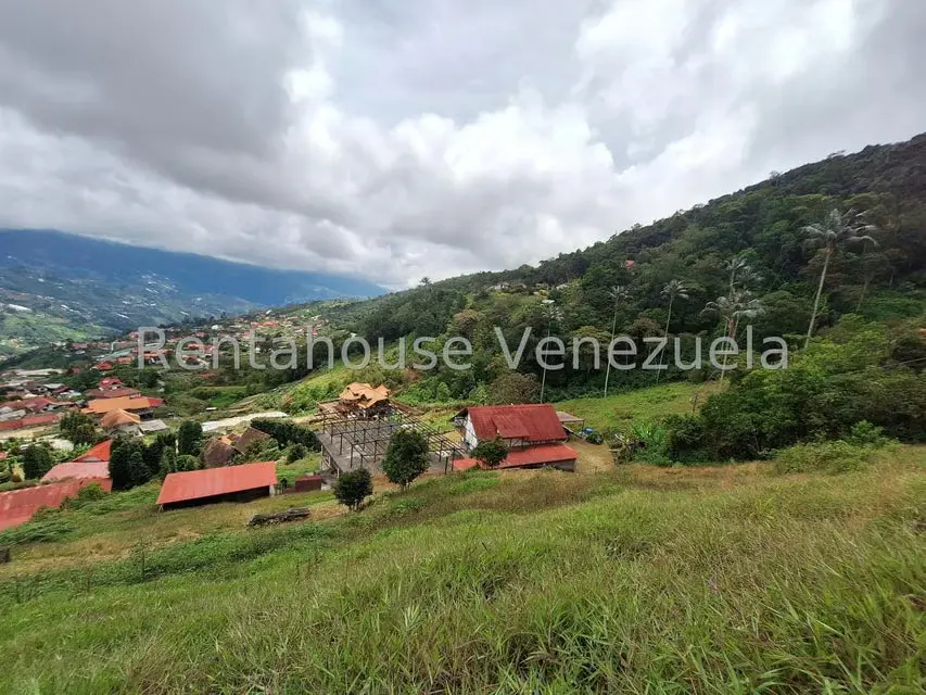 Terreno (Comercial) en Venta en La Colonia Tovar, Aragua - 4