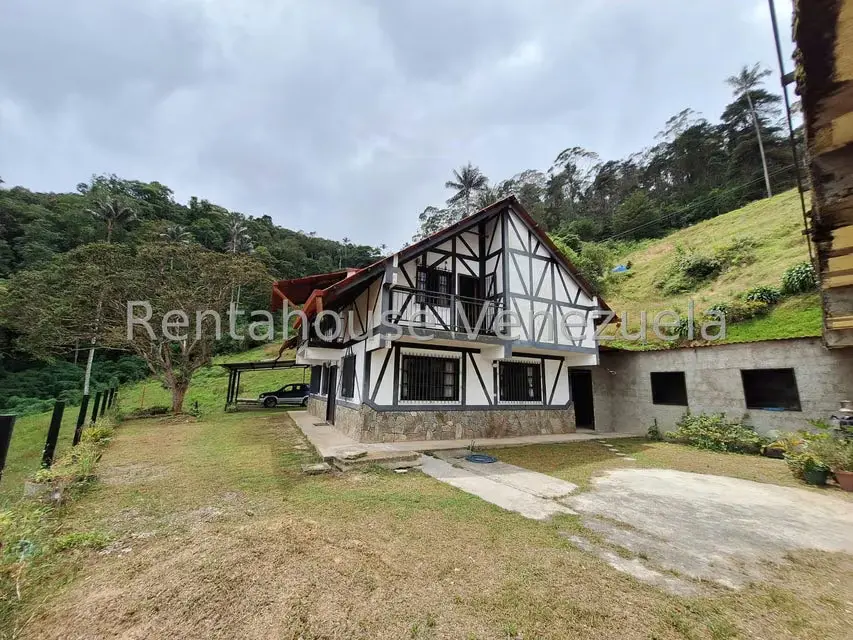 Terreno (Comercial) en Venta en La Colonia Tovar, Aragua - 41