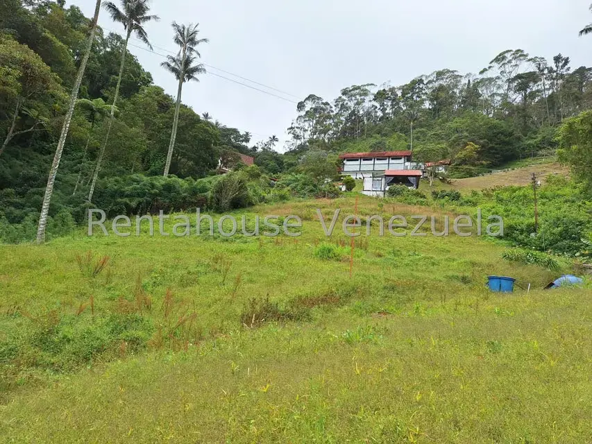 Terreno (Comercial) en Venta en La Colonia Tovar, Aragua - 5