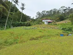 Vista 5
