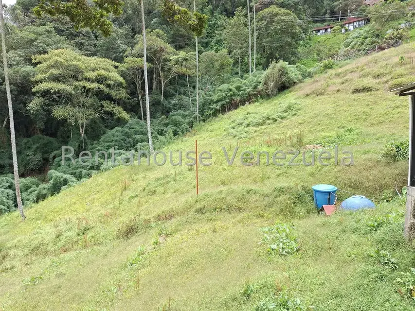 Terreno (Comercial) en Venta en La Colonia Tovar, Aragua - 6