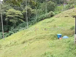 Vista 6