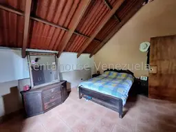 Vista 65