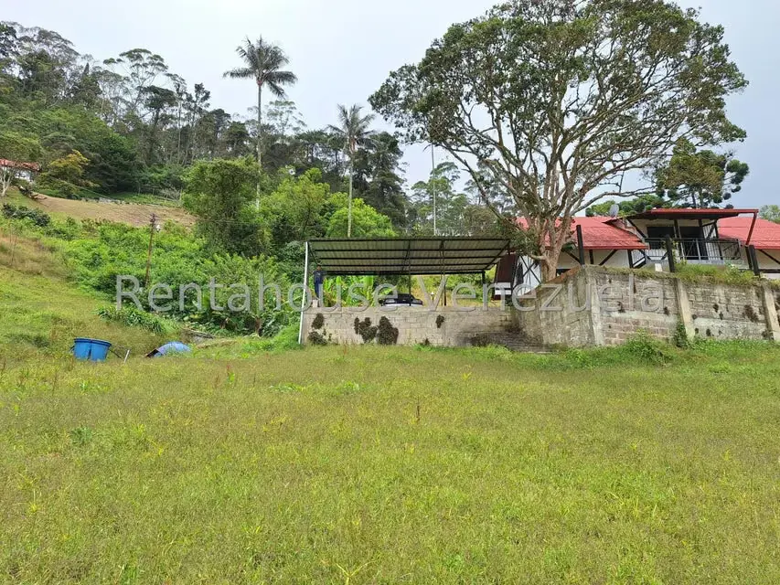 Terreno (Comercial) en Venta en La Colonia Tovar, Aragua - 7