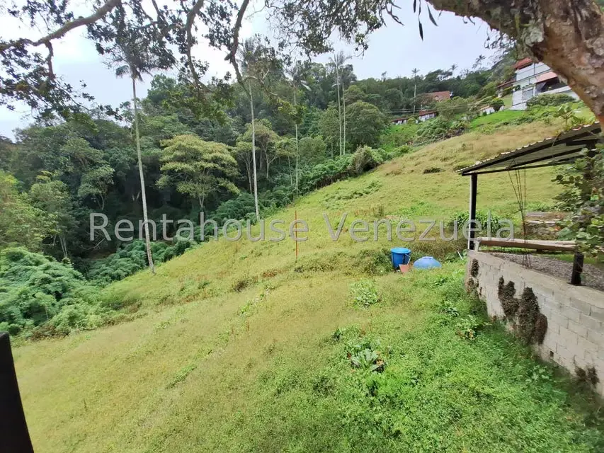 Terreno (Comercial) en Venta en La Colonia Tovar, Aragua - 8