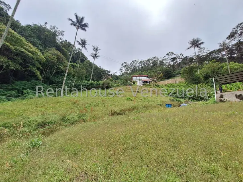 Terreno (Comercial) en Venta en La Colonia Tovar, Aragua - 9