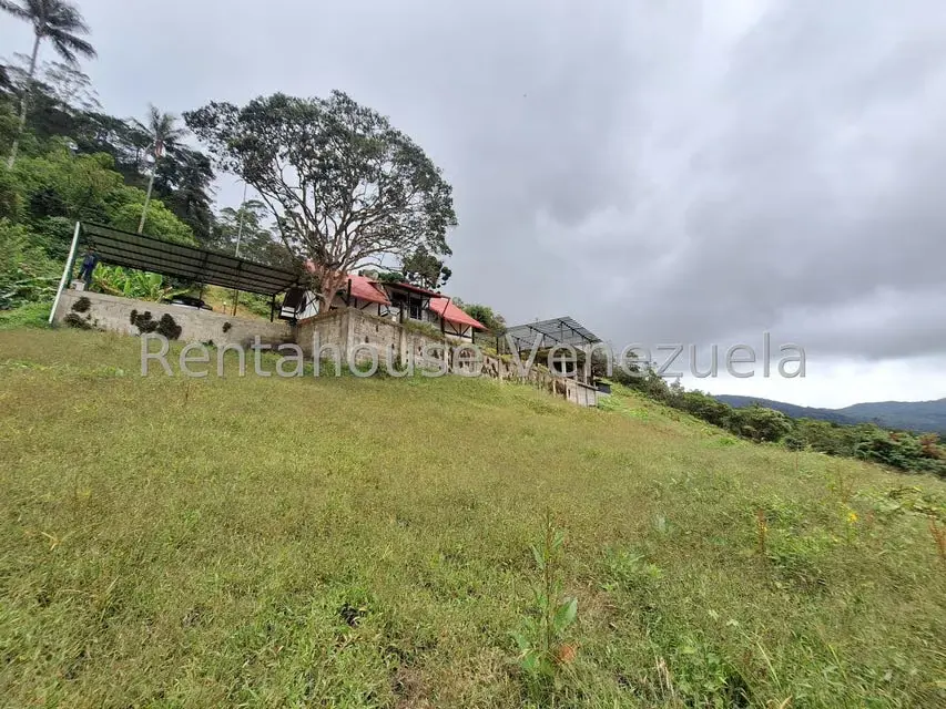 Terreno (Comercial) en Venta en La Colonia Tovar, Aragua - 10