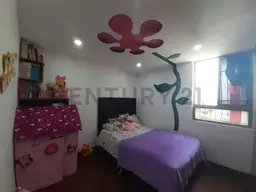 Vista 6
