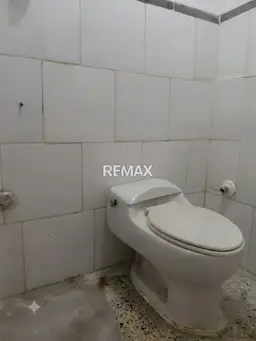 Vista 4
