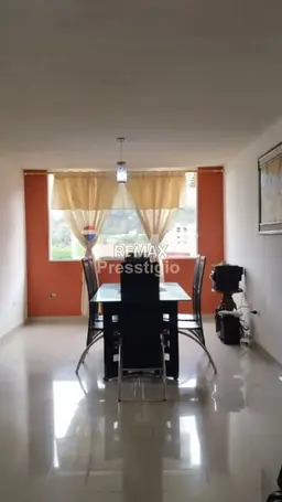 Vista 5