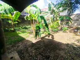 View 26