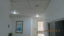 Vista 36