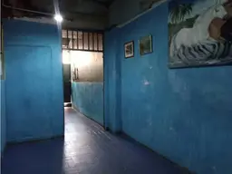 Vista 5