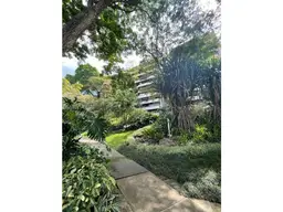 Vista 1