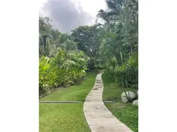 Vista 6