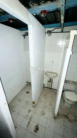 Vista 5