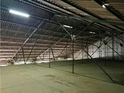 Vista 19
