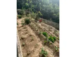 Vista 10