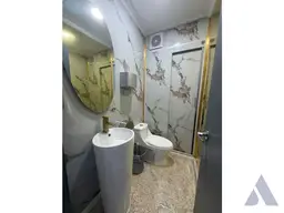 Vista 20