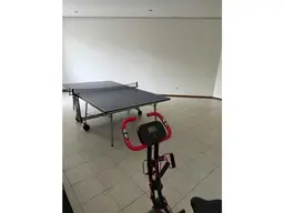Vista 20