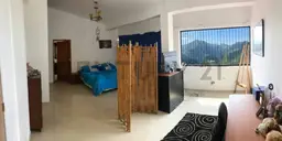 Vista 20