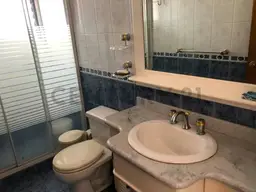 Vista 24