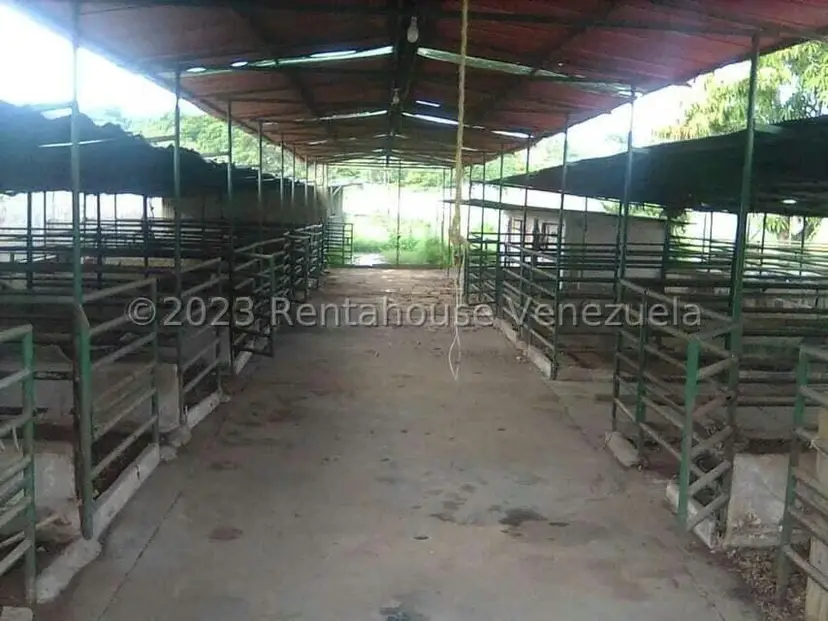 Terreno (Comercial) en Venta en Santa Lucia, Miranda