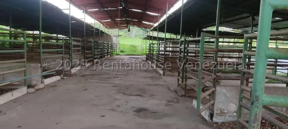 Terreno (Comercial) en Venta en Santa Lucia, Miranda - 8