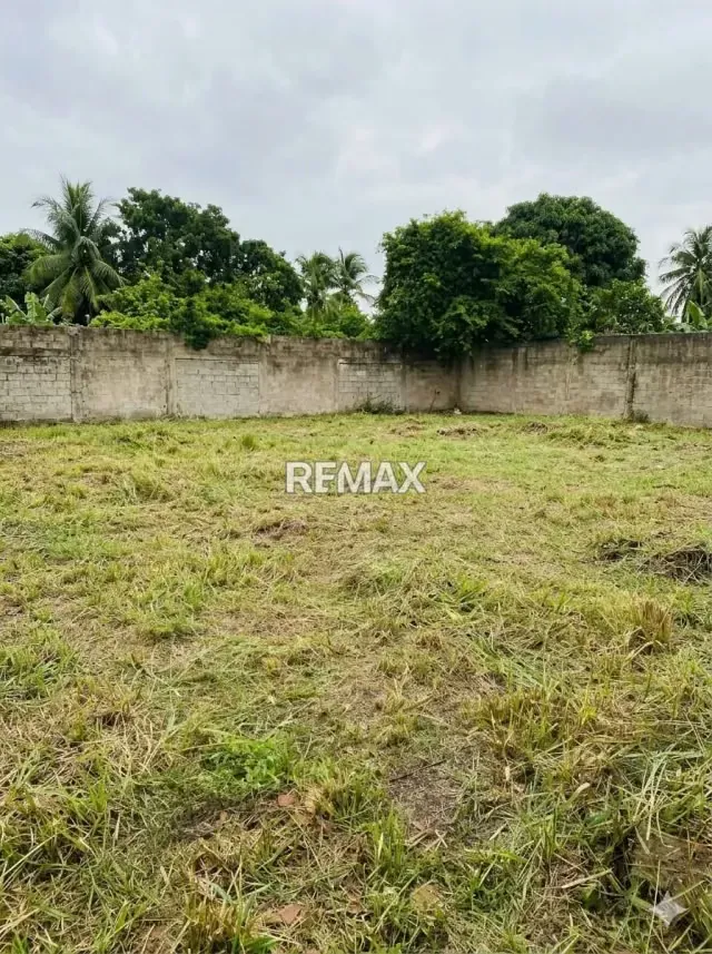 Terreno Plano de 1200m² en Las Morochas listo para construir - 3