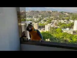 View 13