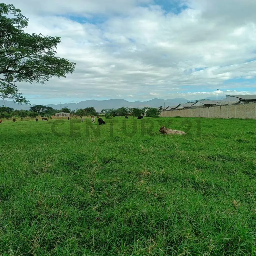FINCA EN VENTA TURAGUA EDO ARAGUA 10HA TC