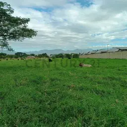 Vista 1