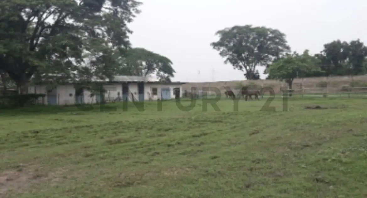 FINCA EN VENTA TURAGUA EDO ARAGUA 10HA TC - 12