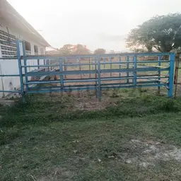 Vista 13
