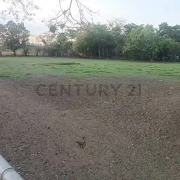 Vista 14