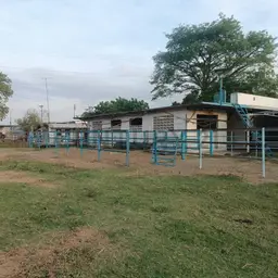 Vista 15