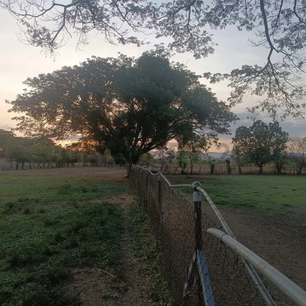 FINCA EN VENTA TURAGUA EDO ARAGUA 10HA TC - 17